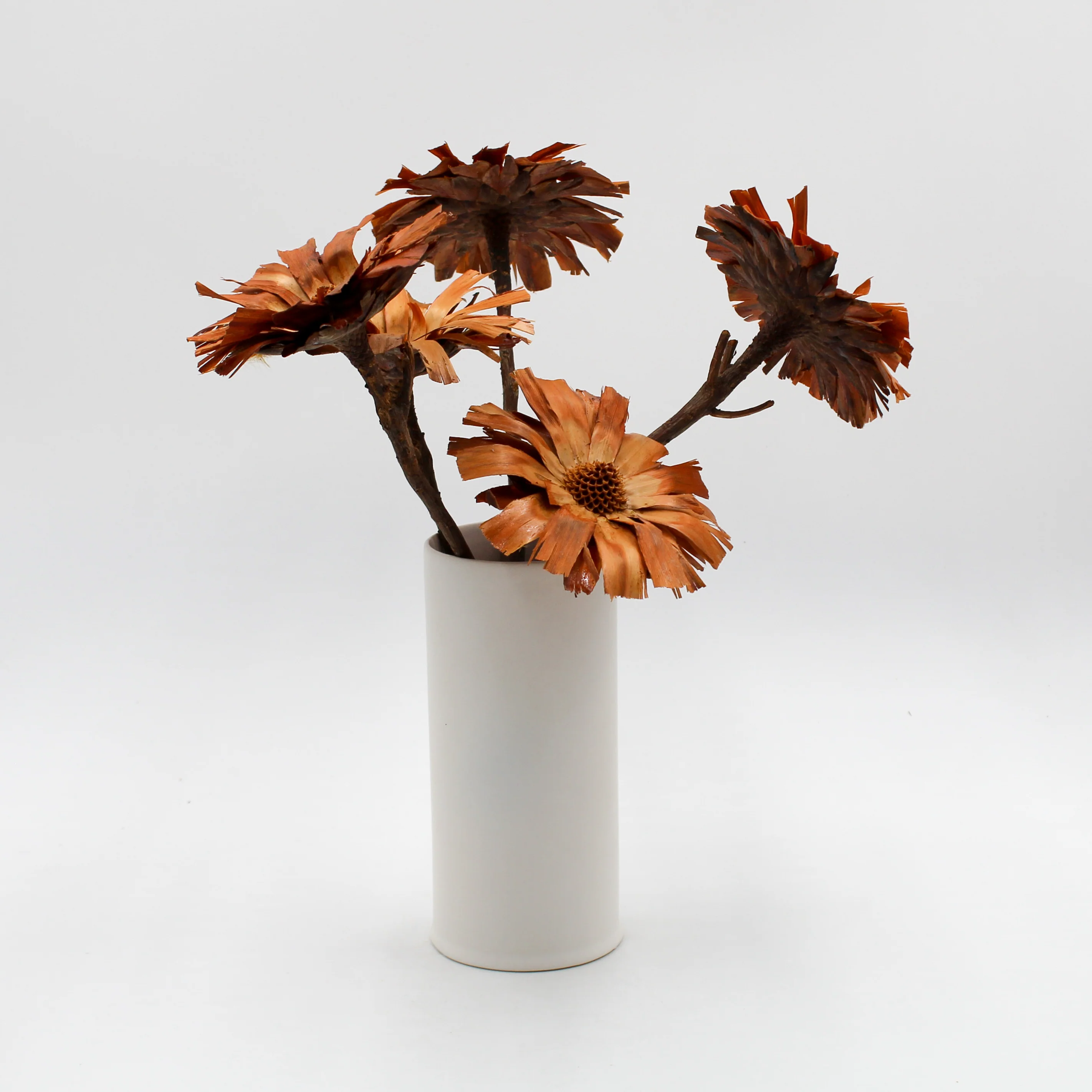 Brown Dried Protea Repens Flowers - Image 2