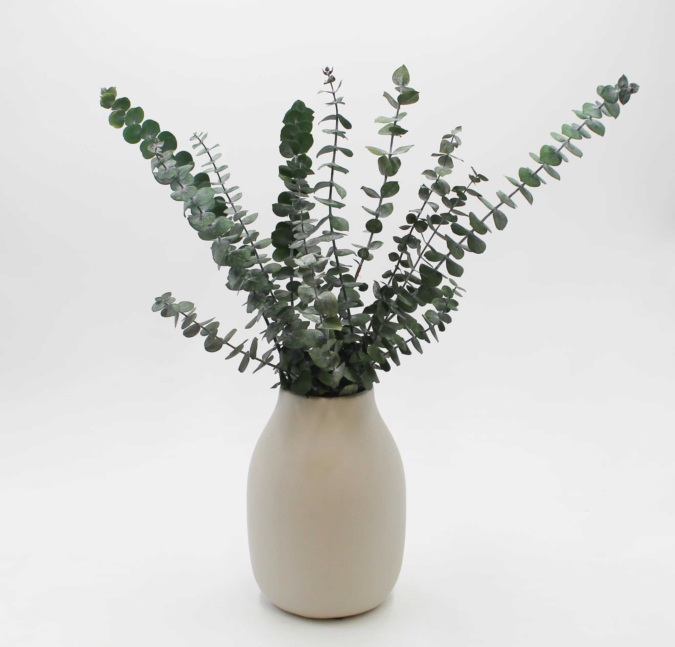 Eucalyptus Sprigs