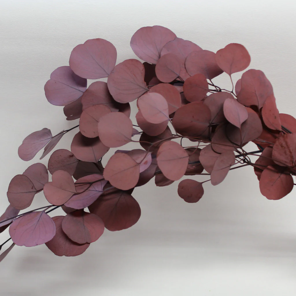 Peppermint Eucalyptus - Dark Red
