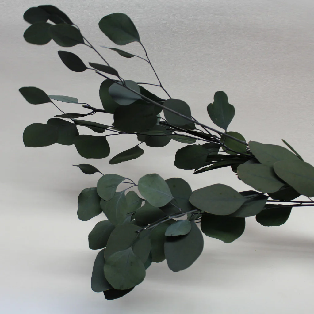 Peppermint Eucalyptus - Green