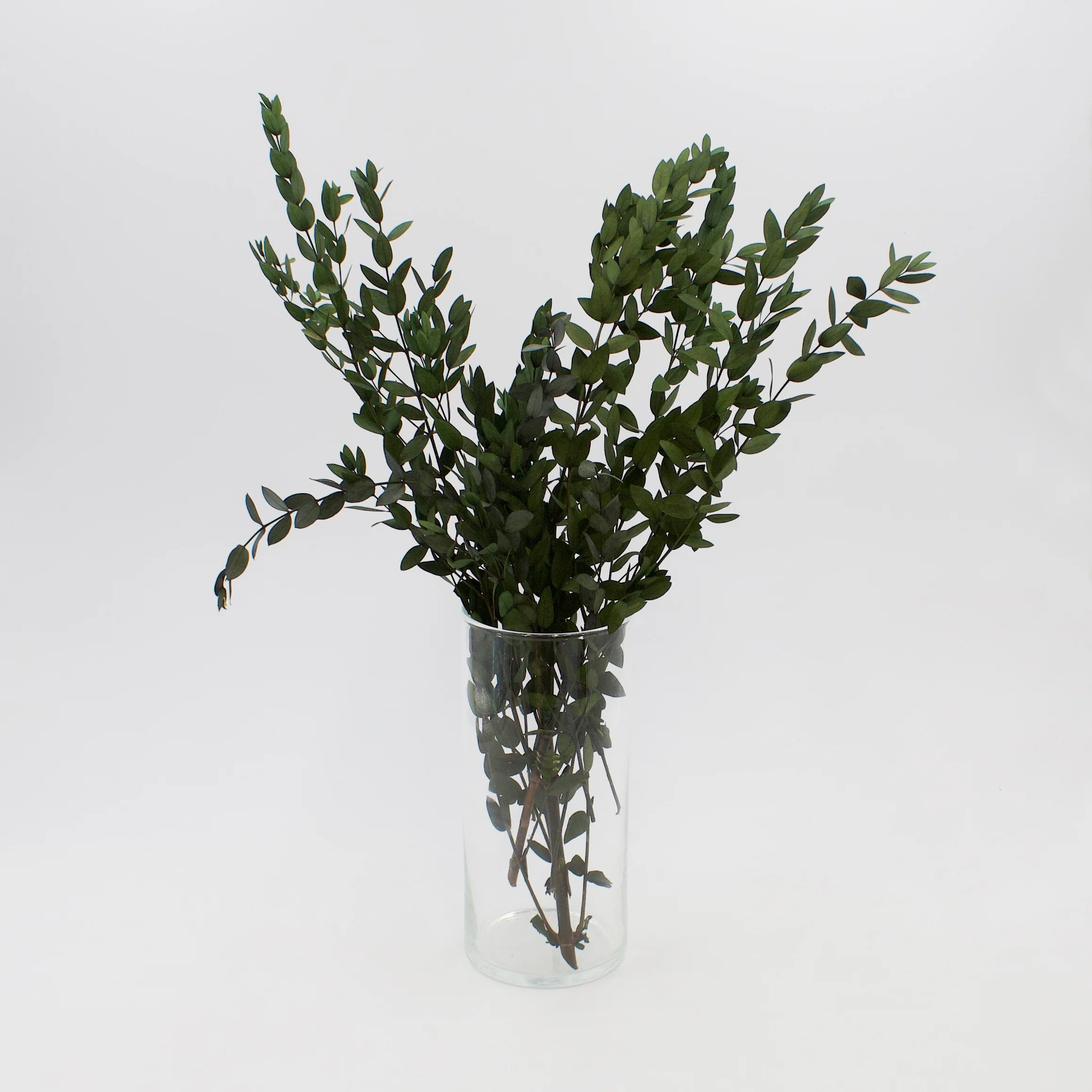 1 Year Subscription - Foliage Bunches (Delivered Quarterly) - Image 3