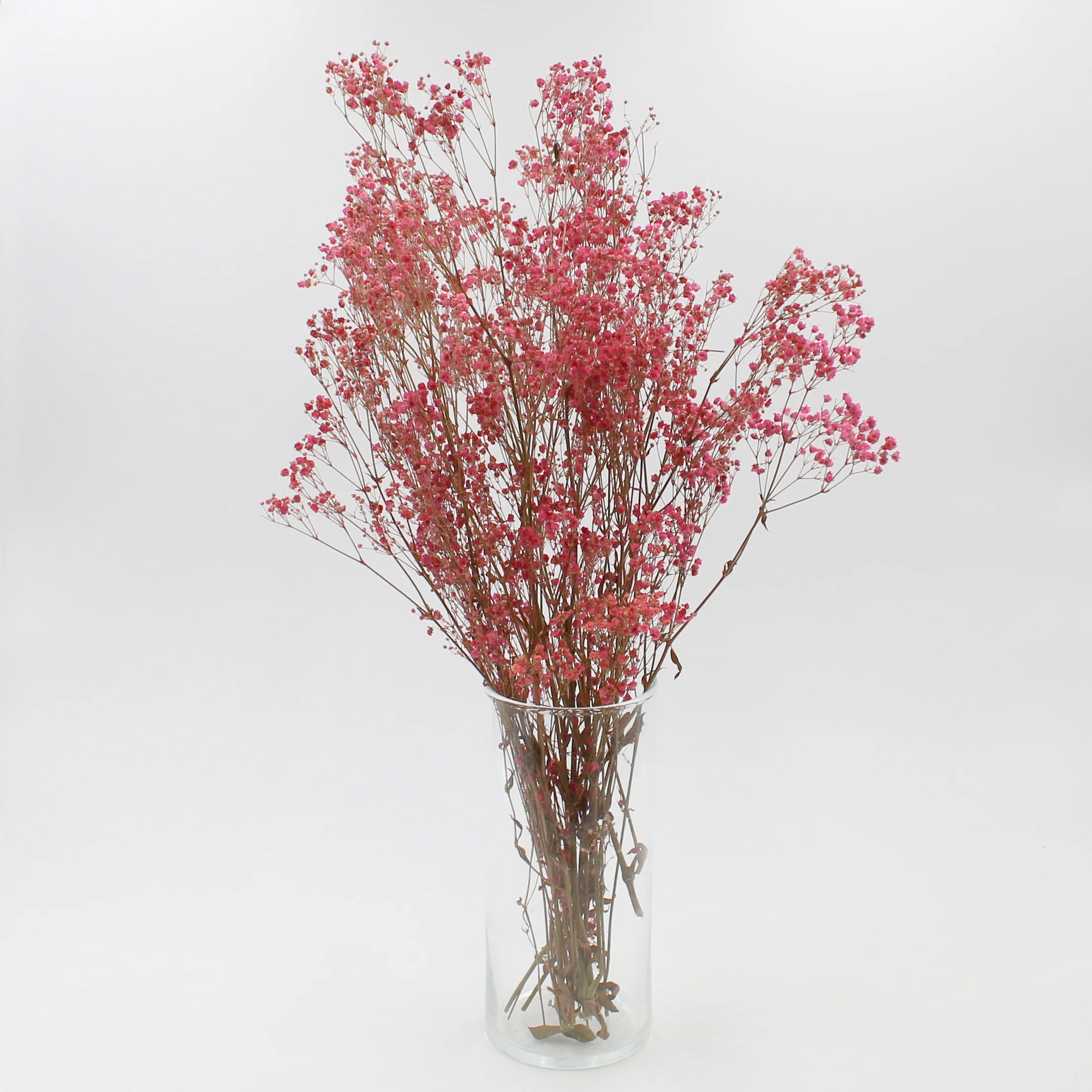 1 Year Subscription - Foliage Bunches (Delivered Quarterly) - Image 4