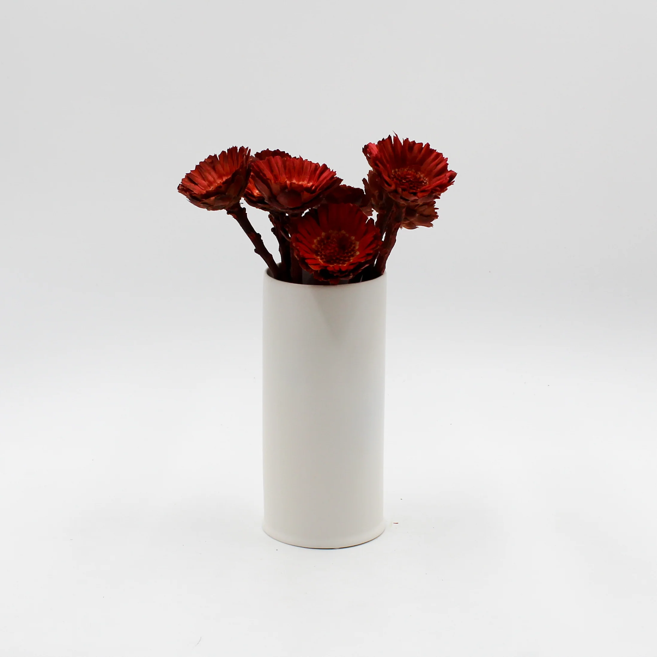 Red Rosette Protea Dried Flowers - Image 2